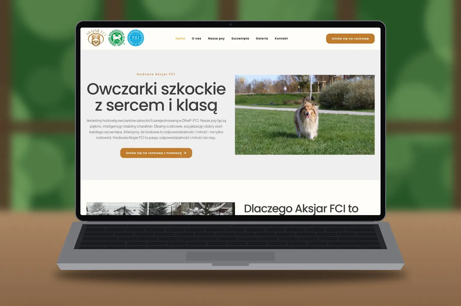 aksjarfci.pl