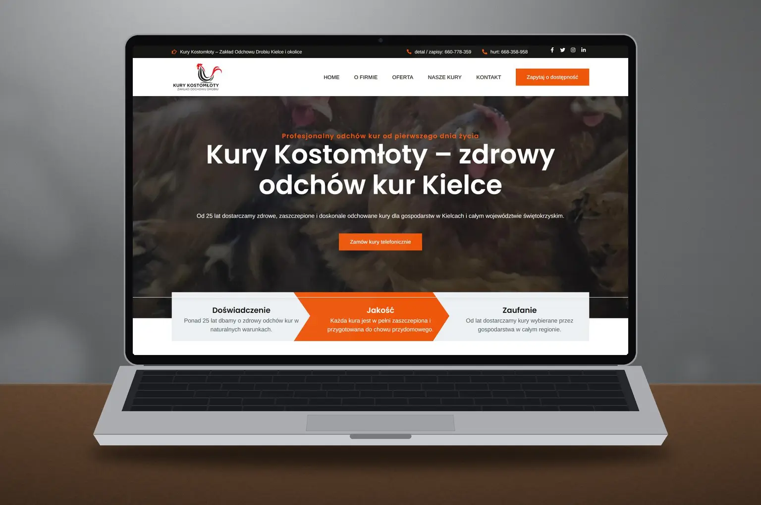 kurykostomloty.pl